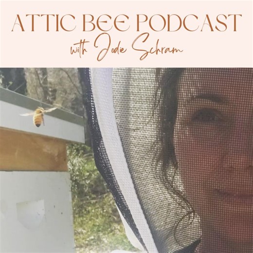 Forest Bathing | Jodie Schram