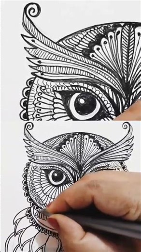 "Intricate bird #Owl Zentangle Art | Stunning Mandala pattern