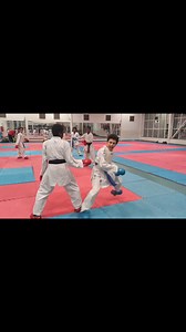 Kumite Techniques | Karate Science