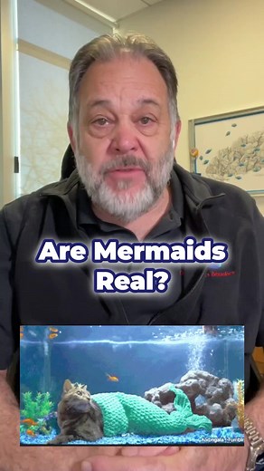 1.2K views · 12 reactions | Are Mermaids Real? Mermaids, those...