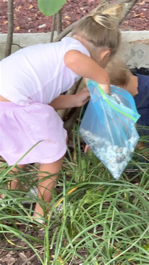 Kids finding snail shells in the park | Naomi Life