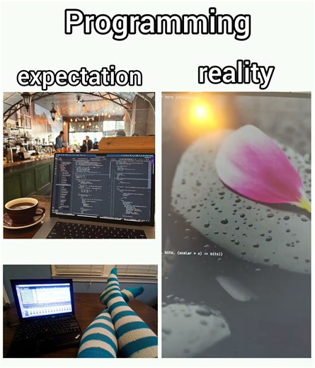 Programming expectation vs reality #programming #memes