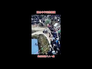 Collection of Bullfighting Injuries