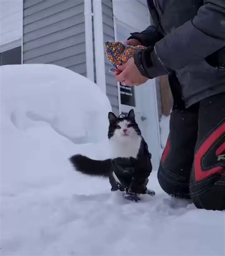A walk in full winter gear
