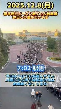 【速報】休日との差が凄すぎて草wディズニーランド最新混雑状況【2025.12.8】