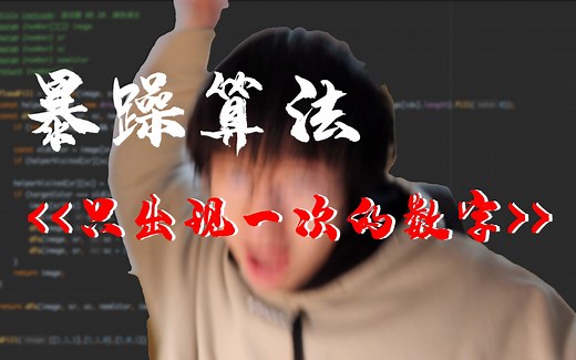 [暴躁算法] Leetcode 136. 只出现一次的数字