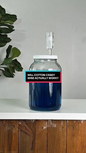 Will Cotton Candy Wine Work? Homebrew Experiment