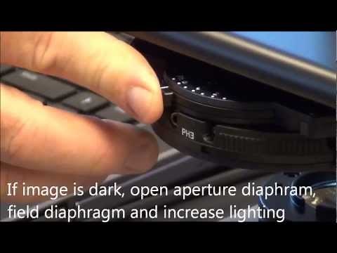 Leica Microsystems DM750 Microscope Training Part 2