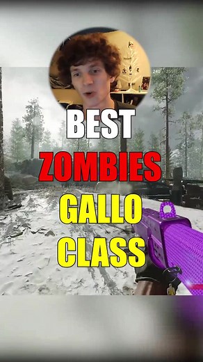 Best Gallo Class Setup in Cold War Zombies