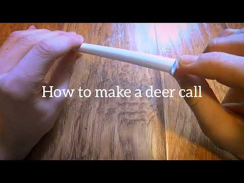 DIY Paper Deer Call (Simple)