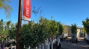 1.4K views · 11 reactions |  Tips with Tim! Spring is in the air,...