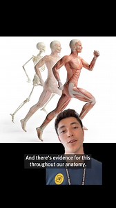 33K views · 268 reactions | The first Olympic marathon may have been held in 1896, but humans have been running long distances for millions of years! Some scientists think our bodies are highly adapted to running long distances as it was once essential to our survival. Gear up for the Olympic marathon this weekend by learning about the evolutionary theory of the endurance running hypothesis. | Royal Institution of Great Britain | Facebook