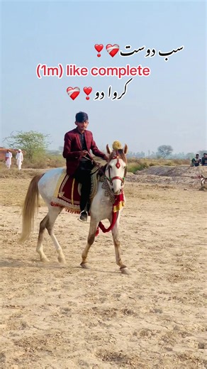 New Trending Song That Everyone's Talking About!