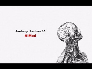 Humen structure & function | anatomy | the ear 👂