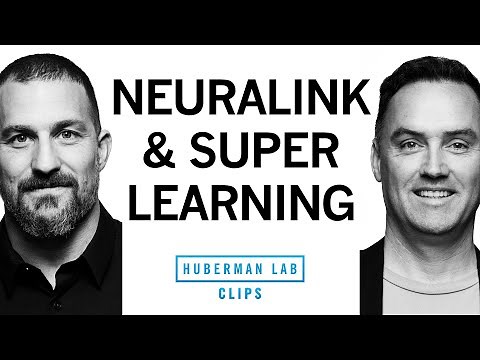What Neuralink Is Really Working on | Dr. Matt MacDougall & Dr. Andrew Huberman