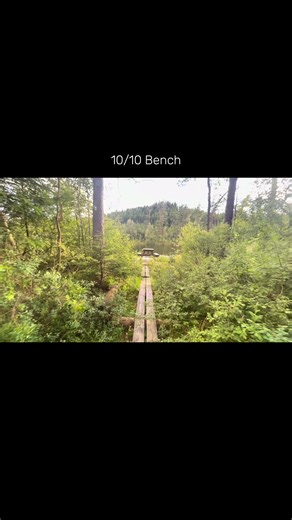 S C H W E D E N 🇸🇪 📍Hindås, Schweden ▫️If you liked the video, l'd really appreciate a like and a follow ✨ #nature #schweden #travel #happiness #fyp