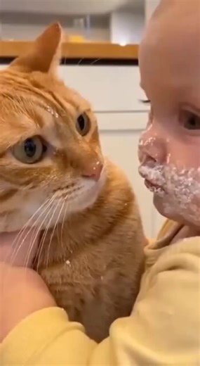 Hilarious Cat Moments That Will Make You Laugh