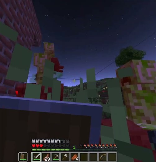 RUTHLESS: ALPHA II #minecraft #gaming