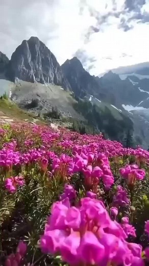 Breathtaking Natural Landscapes in Stunning Detail