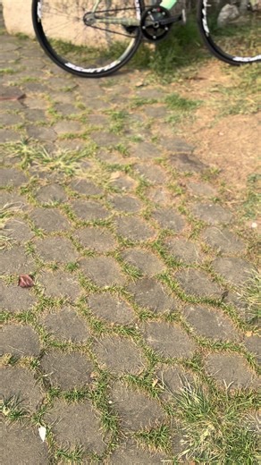 Liberty and Cerv P2: The Fixed Gear Bike Journey