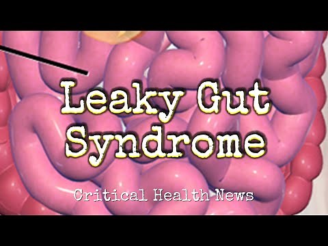 Leaky Gut Syndrome - Pharmacist Ben Fuchs - Moment of Truth
