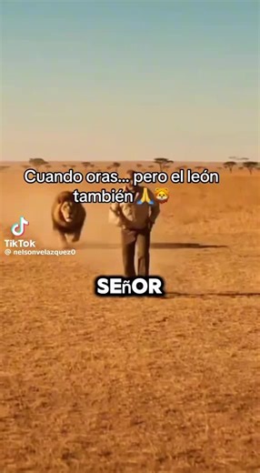 ✈️🛩Alex Rivera🐦‍🔥🐋 (@joshremodeling)’s videos with original sound - ✈️🛩Alex Rivera🐦‍🔥🐋