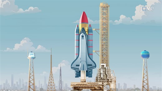 Application of Newton's Third Law - Motion and Stability: Forces and Interactions - JoVE K12