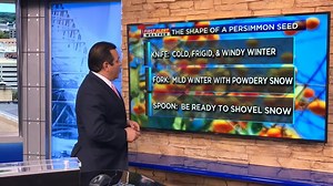 Breakdown: Can Persimmons really predict the winter?