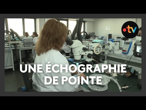 L’entreprise Vermon récompensée : un modèle de réussite industrielle