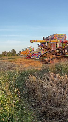 ตัวเดินแต๋ง🤣🌾#รถเกี่ยวข้าวสามควายไทย #วัยรุ่นคันคาย🌾🌾 #วัยรุ่นขับเฟือง #ช่างนุ้ยดีเซล #รถนอกกระแส