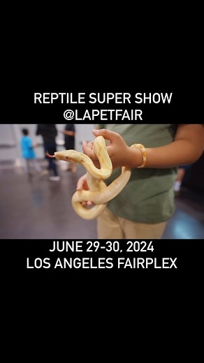 Reptile Super Show June 29-30, 2024 Los Angeles, Ca. Pomona @fairplex at the @lapetfair Don’t miss the Worlds LARGEST Reptile, Bird and Aquarium Expo! 2 Day pass is only $20 adults & $16 for kids (12&under) & 2 and under are FREE! purchase tickets online only! Saturday 10am-6pm - Sunday 11am-5pm. Parking is $18 @ Gate 17 #reptilesupershow2024 #reptilesupershow #pomonareptilesupershow #reptiles #reptileexpo #lapetfair #thingstodoinpomona #thingstodoinlosangeles | Reptile Super Show