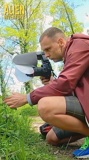 3.4M views · 5.9K reactions | Outdoor macrophotography. #macro #macrophotography #ladybug #makrofotografia #beetles #raw_insects #raw_macro #insects #insect #macro_highlight #macro_royals #closeup #macro_brilliance #macro_perfection #przyroda #naturephotography #natureperfection #insect_of_our_world | Alien Inventory | Facebook