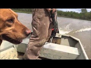 Go-Devil vs. Beaver Dam Mud Runner Longtail 6.5HP