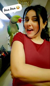 119K views · 4.6K reactions | Parrot Pablo & Mummy Cute Funny Laugh  #parrot #funny #Cute #reels #funny #trending #PabloFamily | Pablo Family | Facebook