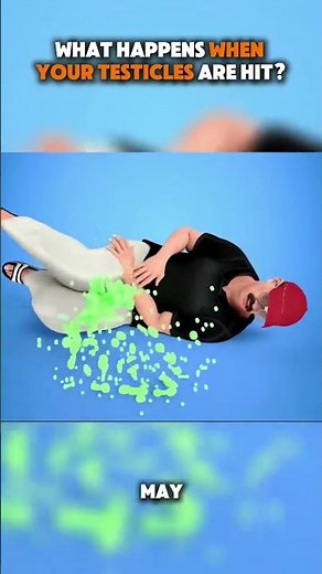 Ever wondered why getting hit in the testicles hurts so much 😖 In this video,we break down exactly
