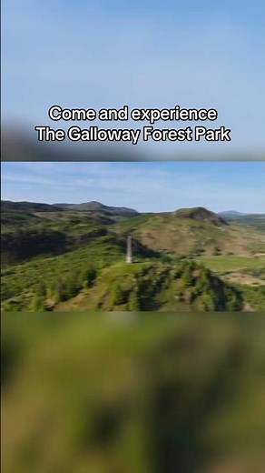 Experience the Galloway Forest Park and all its Beauty.
