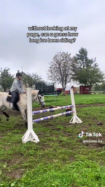 Beginner Equestrian Show Jumping Journey