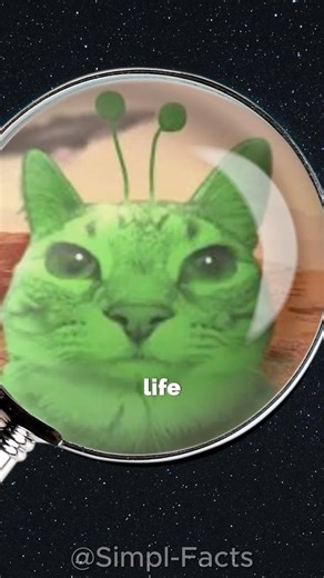Scientists tried to calculate alien life!