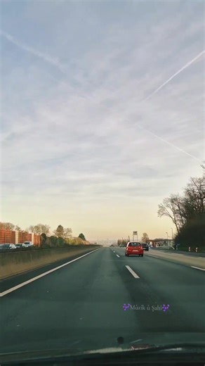 #mûzikûşahî #💚❤️💛 #mûzikûşahî