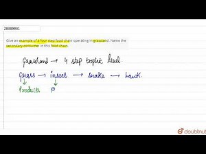 Give an example of a four step food chain operating in grassland. Name the secondary consumer in