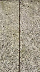 I Built A Halloween HAUNTED HOUSE, But Things Went TERRIBLY WRONG! #funny #prankvideo #laugh #jokes #comedy #reelsfb #videos #viralvideo #prank #fyp #viralreels #viral #talkingdog #couples #fblifestyle | Robby and Penny