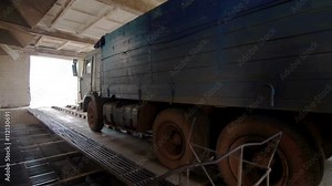 Unloading from the truck trailer after harvest