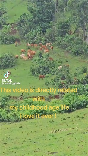 Lemma (@lemma..s)’s videos with original sound - Lemma