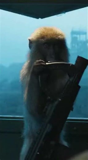 Monkey Hijinks: A Guard's Worst Nightmare 🐒💥 #MonkeyBusiness #GuardLife