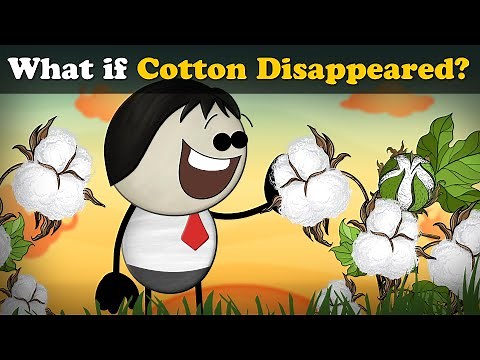 What if Cotton Disappeared? + more videos | #aumsum #kids #science #education #children