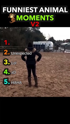 Hilarious Animal Fails & Funny Moments 🐒🤣 #animals