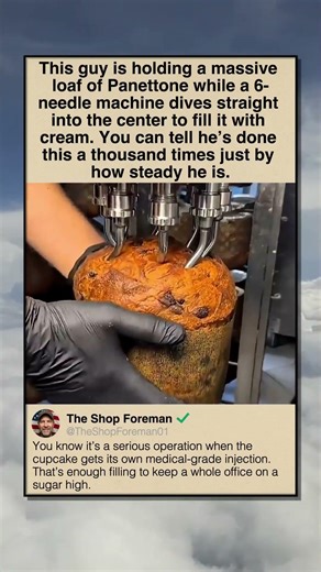 INDUSTRIAL BREAD INJECTION 101