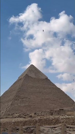 Egyptian Birds Flock Over the Great Pyramids of Giza as “I Believe I Can Fly” is Heard