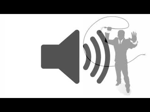 Cracking Whip sound effect