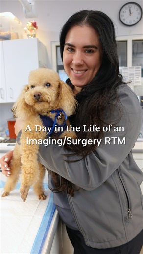 17 reactions · 4 comments | What does a day in the life of a Regional...